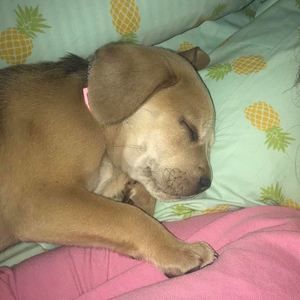 Meet your Posher, Julie